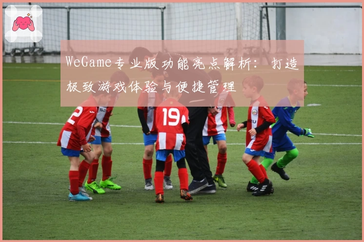 WeGame专业版功能亮点解析：打造极致游戏体验与便捷管理