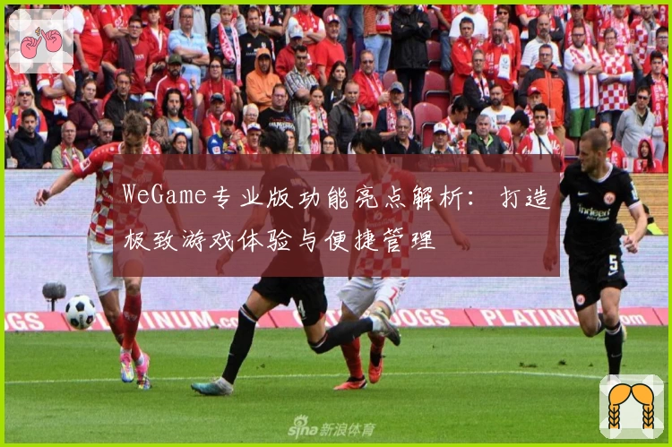 WeGame专业版功能亮点解析：打造极致游戏体验与便捷管理