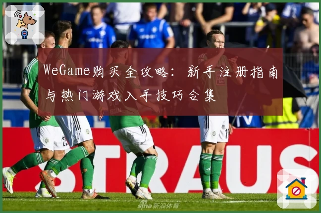 WeGame购买全攻略：新手注册指南与热门游戏入手技巧合集