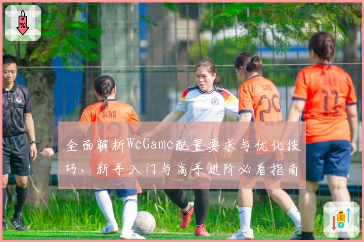 全面解析WeGame配置要求与优化技巧，新手入门与高手进阶必看指南